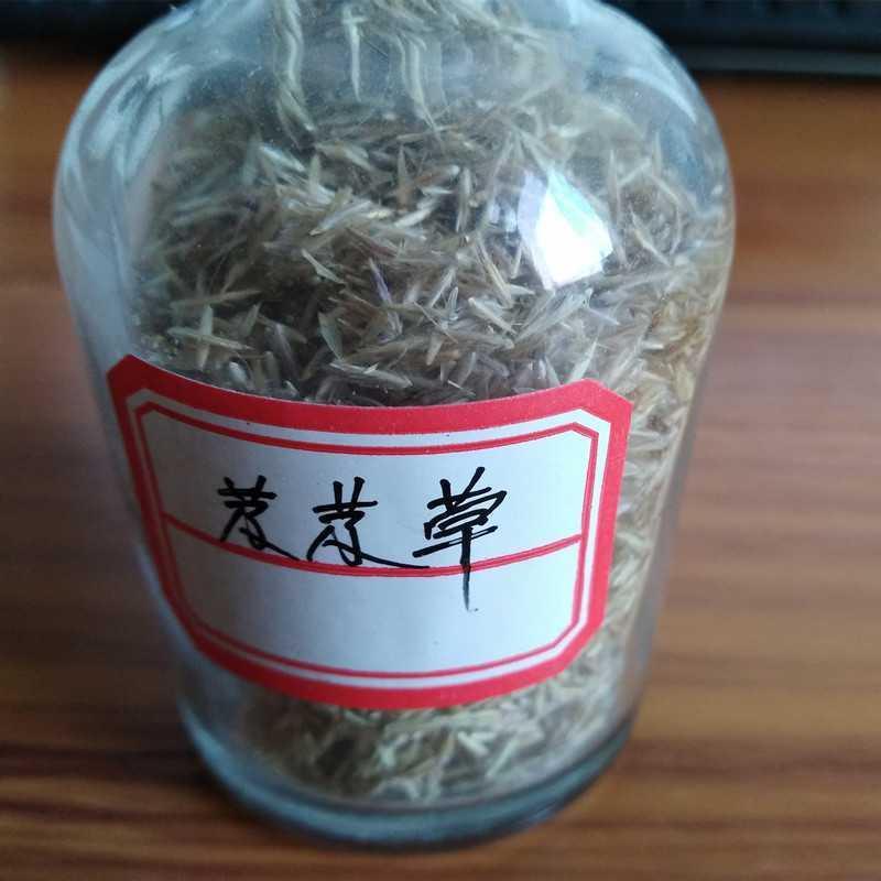 芨芨草种子芨芨草优质牧草种子水草绿化种子耐旱防风固沙量大