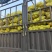 芥菜大量上市走市场加工厂老板欢迎来电4两起步