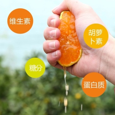 东江湖蜜桔皮薄肉嫩，无渣，香甜可口，不甜不要钱！