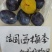 西梅李蓝蜜李苗丰产味甜耐贮存基地现挖现保湿