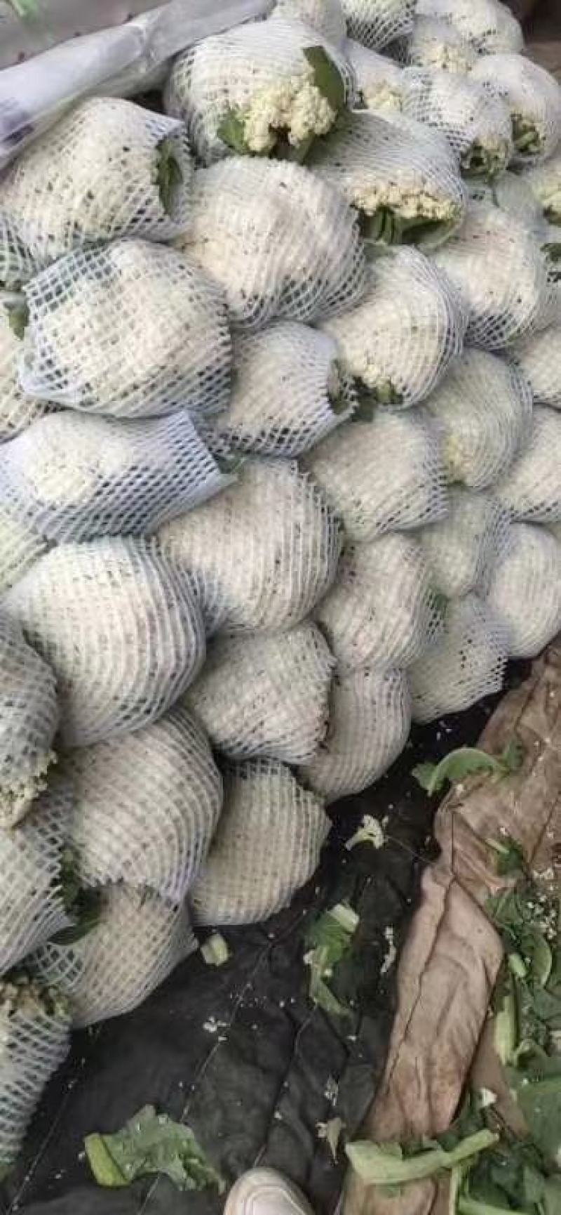 菜花，优质，精品，菜花