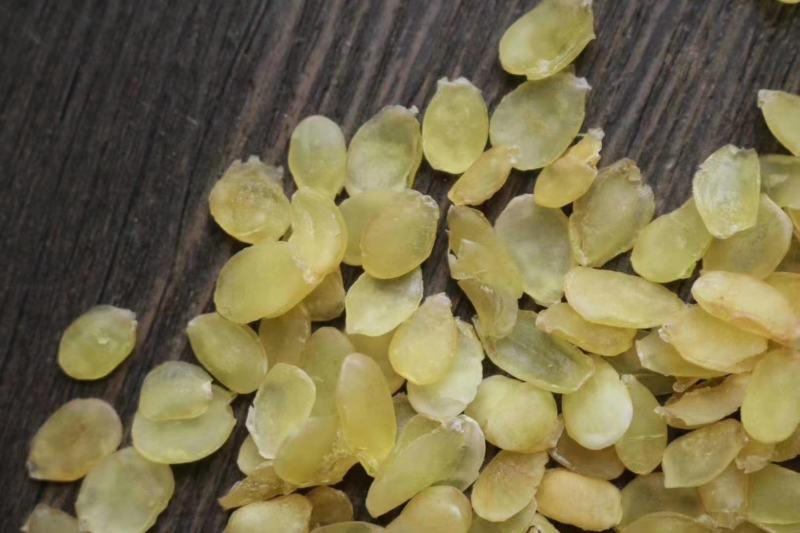 广州人无硫无糖中仔双夹皂角米雪莲子原始美味一件代发
