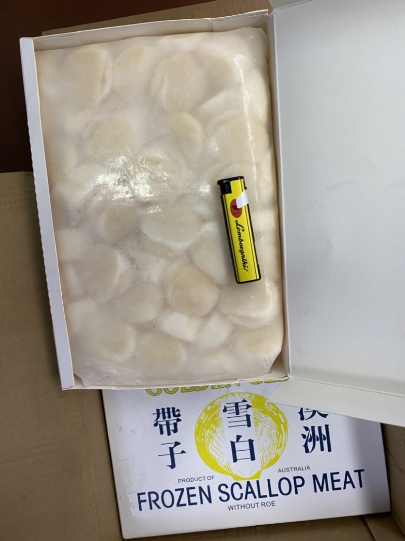 上海现货雪白澳带热销中，全国各地可发货