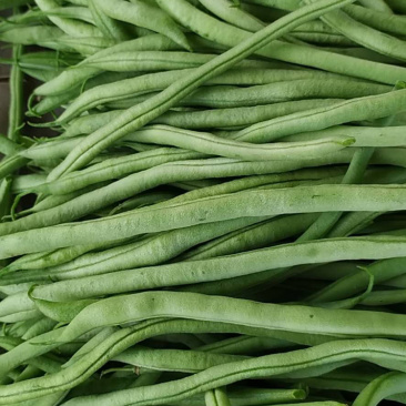 【新鲜蔬菜】豆王芸豆九粒芸豆品质优价格低