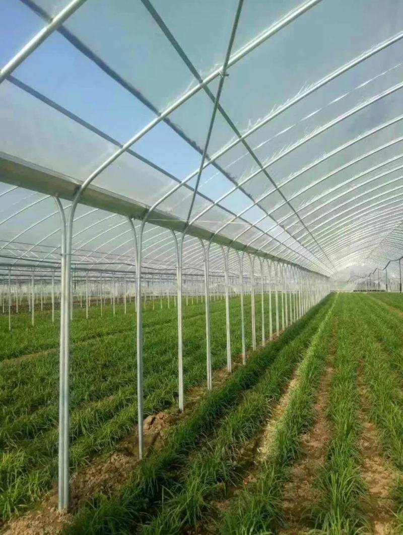 蔬菜大棚大棚钢管，牛商推荐，大棚骨架养殖大棚