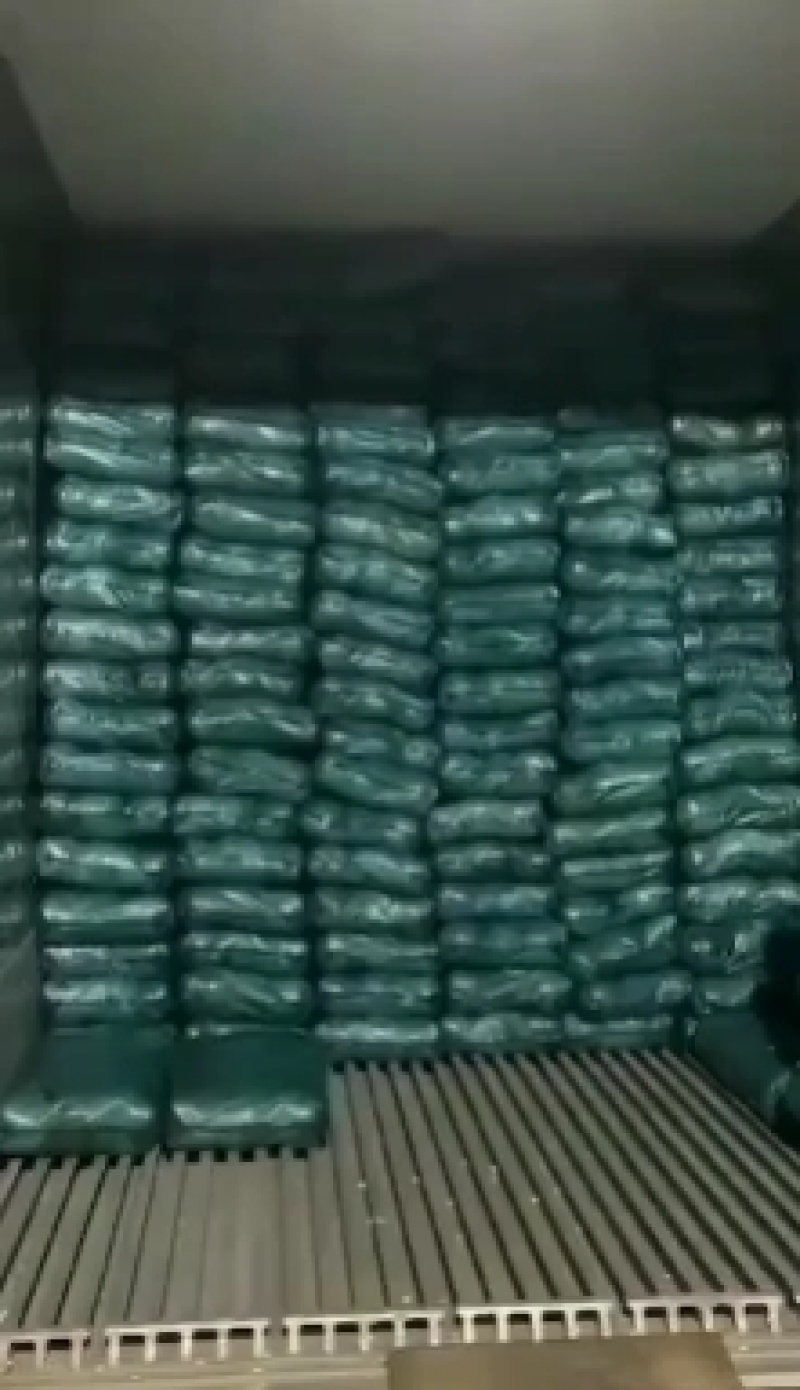 甘蓝邯郸甘蓝产地直供量大从优可供加工厂