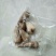 混色香雪兰小苍兰开花球浓香型多年生花卉种球盆栽室内阳台