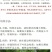 散尾葵凤尾竹盆栽室内客厅吸甲醛植物四季长青大型绿植花卉