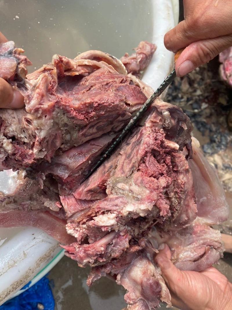 【网红国产牛头肉】国产全是大公牛全熟牛头肉五香、原味全