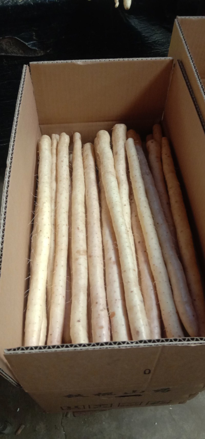 河北蠡县精品小白嘴白山药各种型号都有