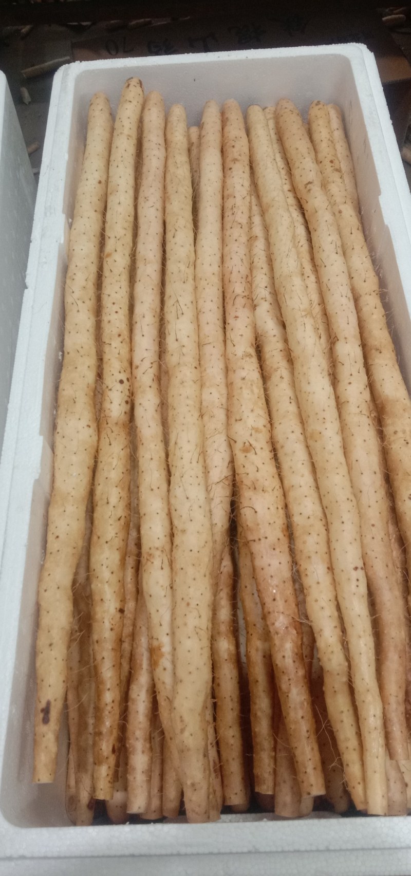 河北蠡县精品小白嘴白山药各种型号都有