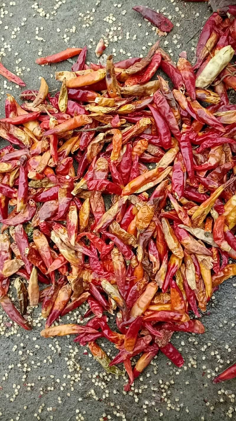 花皮干辣椒，三樱八号花皮干辣椒，河南花皮干辣椒