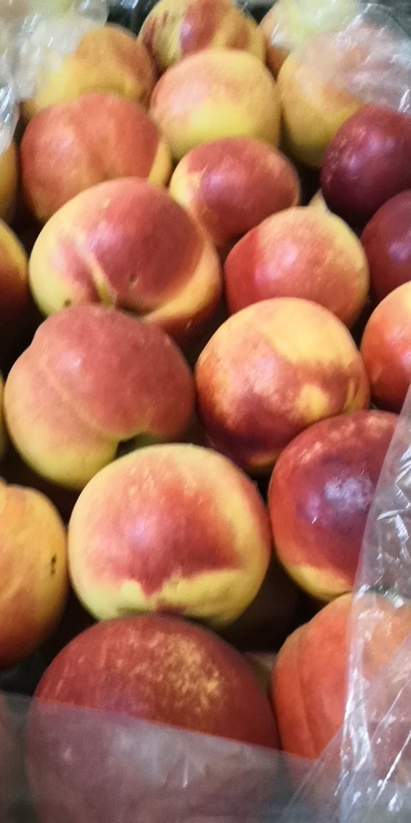 红油，中油8品种半斤起步。