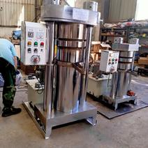 全自动中型液压榨油机大型商用花生芝麻炼油机