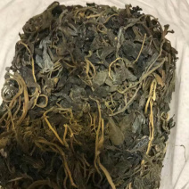 马齿苋（干马蜂菜）自家采集品质优良