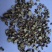 甘草小片货物流发货批发零售品种齐全