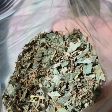 各种大叶金钱草小叶金钱草干净无渣