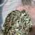 各种大叶金钱草小叶金钱草干净无渣