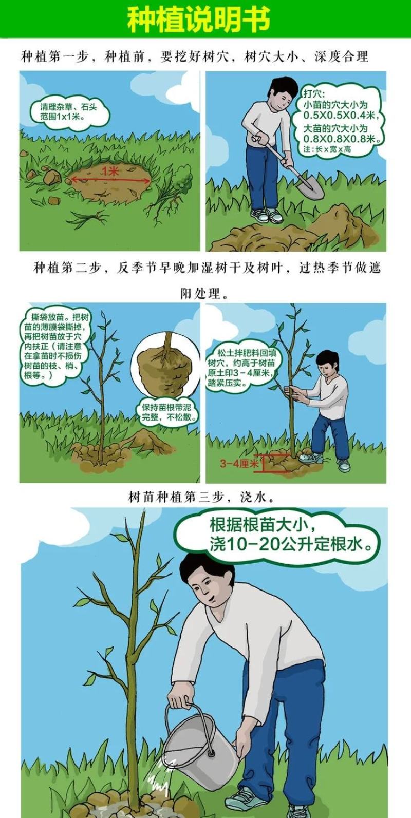陕西临潼火晶柿子苗树甜软吸食柿子南方北方种植