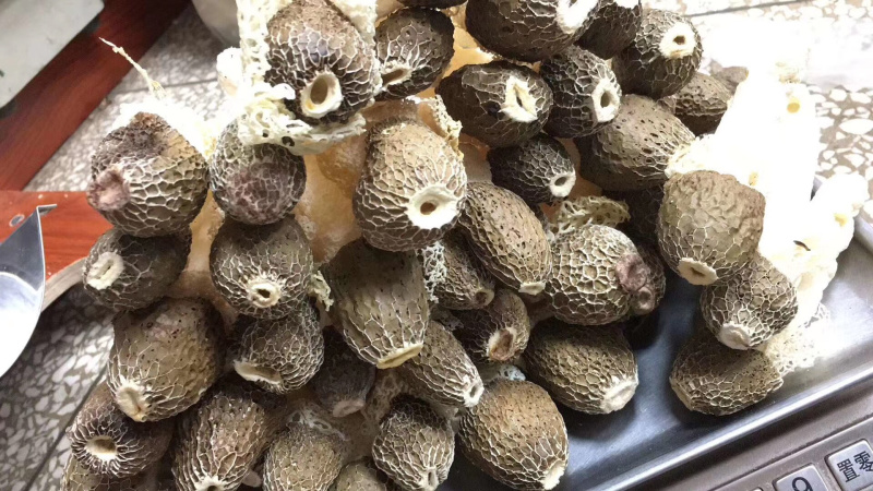 黑帽贵州竹笋竹荪野生优质500克天然无硫干货250克