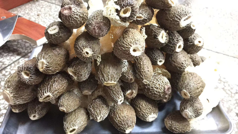 黑帽贵州竹笋竹荪野生优质500克天然无硫干货250克