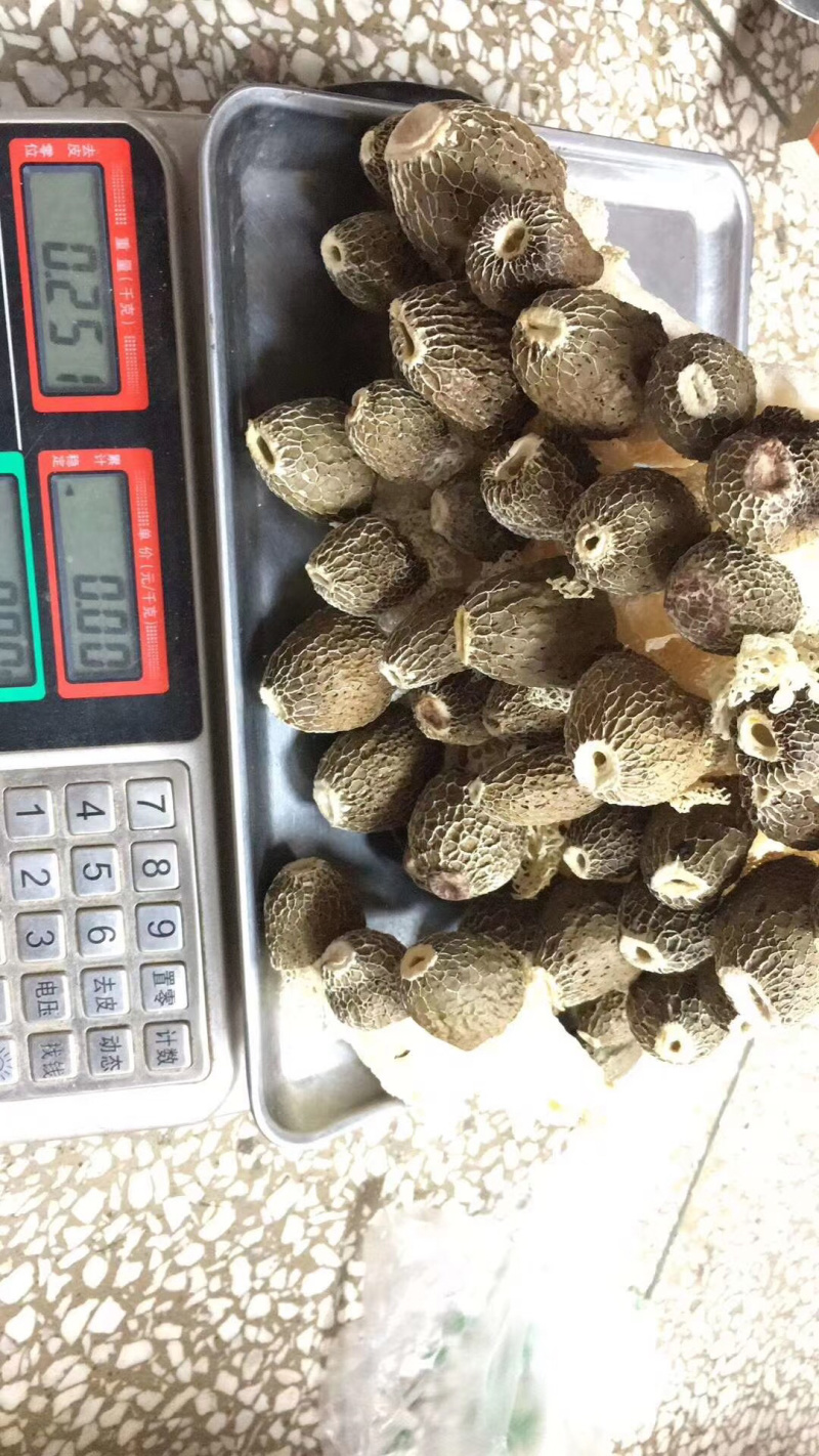 黑帽贵州竹笋竹荪野生优质500克天然无硫干货250克