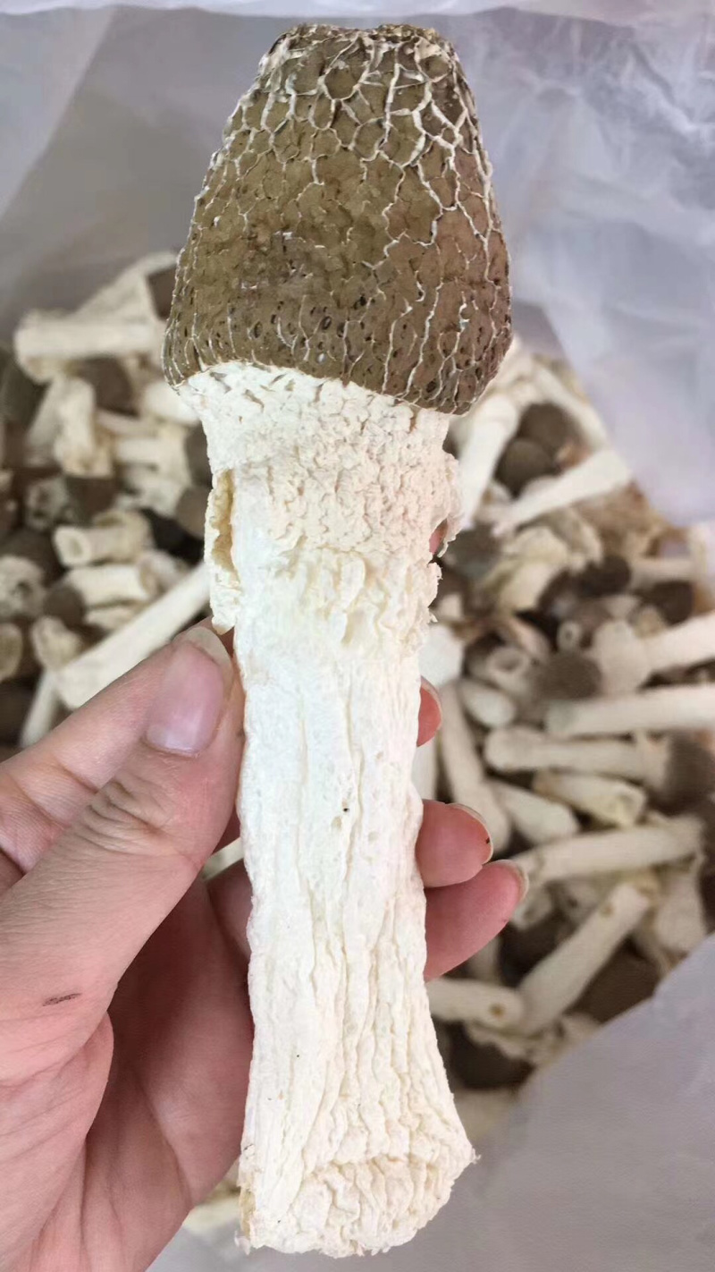 黑帽贵州竹笋竹荪野生优质500克天然无硫干货250克