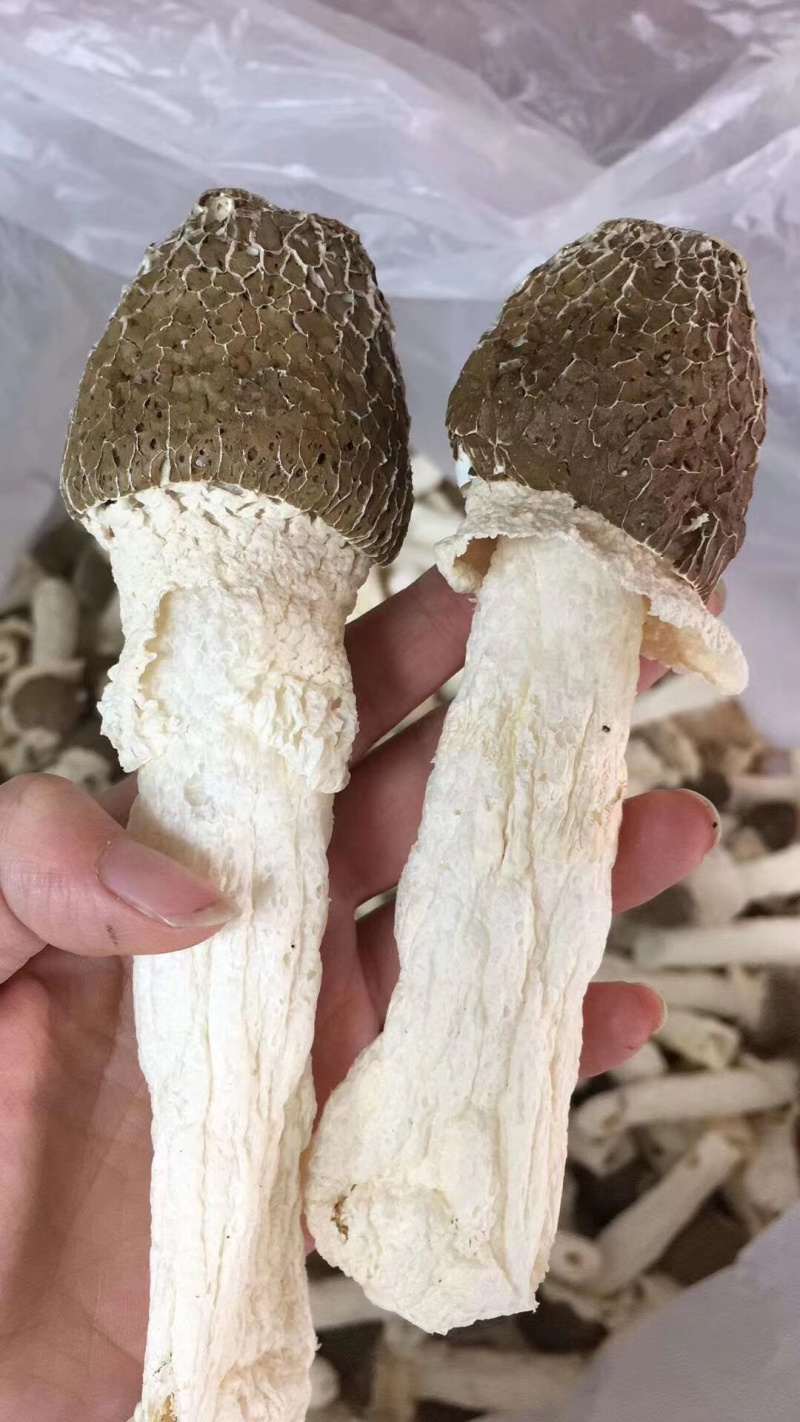 黑帽贵州竹笋竹荪野生优质500克天然无硫干货250克