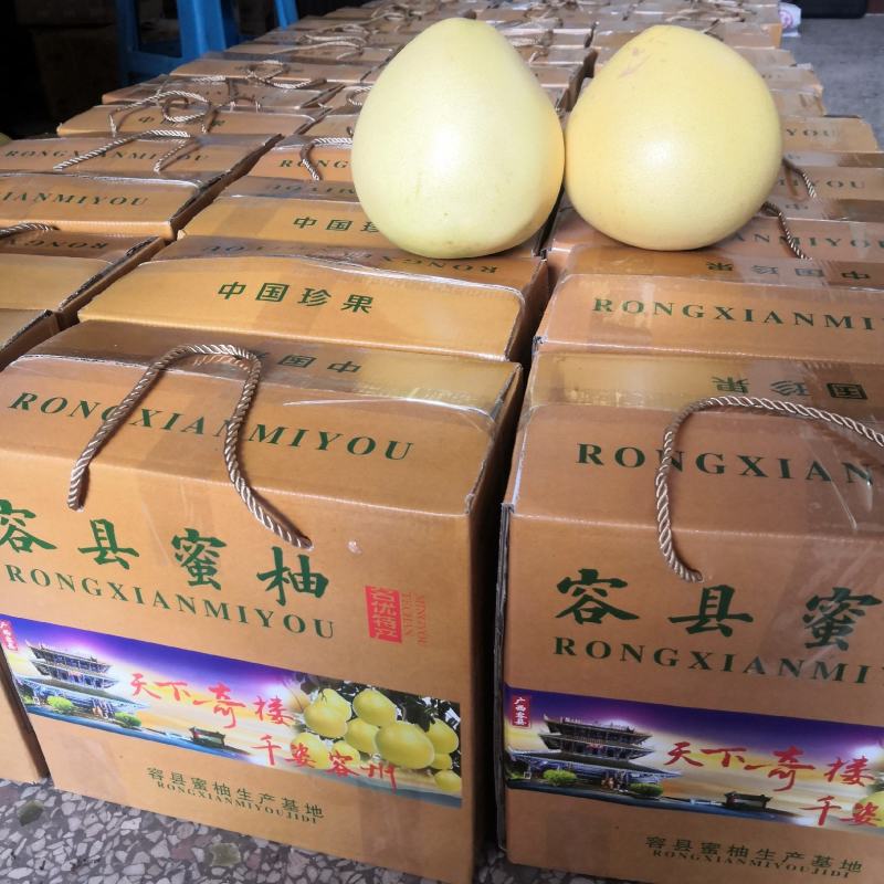 【有好货】广西容县沙田柚纯正纯甜多水分诚招代一件代发