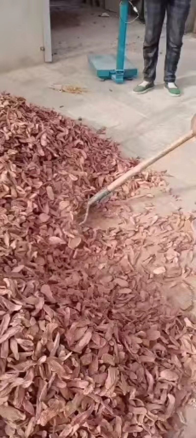 推荐原产地直供，量大从优锁阳片常年有货可供应欢迎咨询