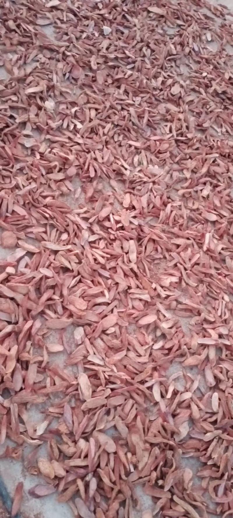 推荐原产地直供，量大从优锁阳片常年有货可供应欢迎咨询