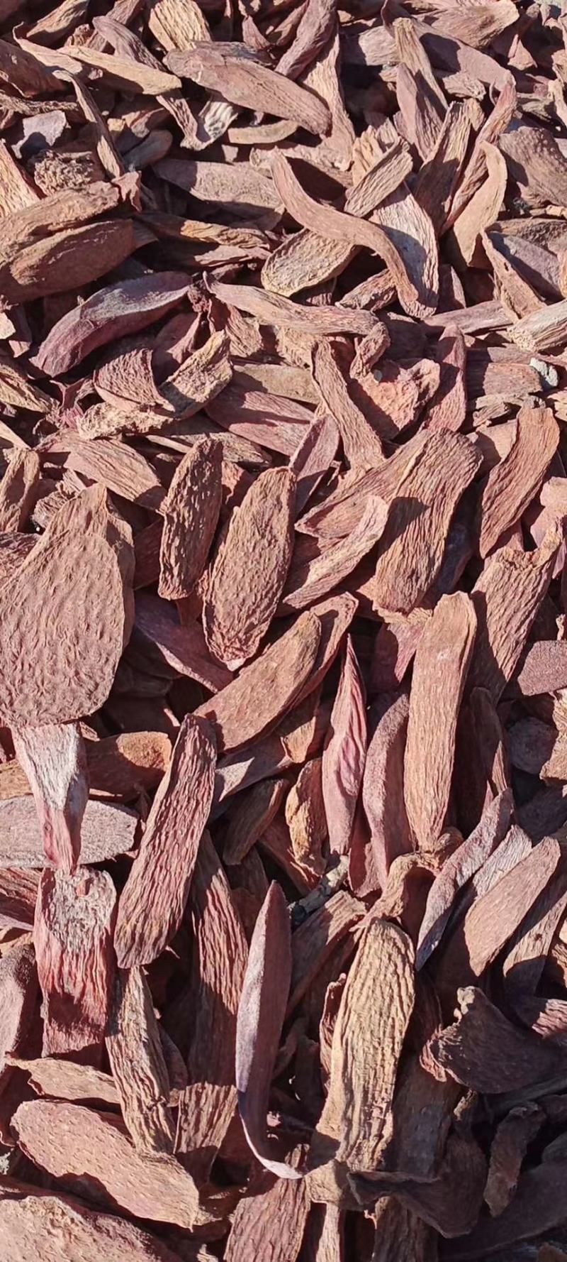 推荐原产地直供，量大从优锁阳片常年有货可供应欢迎咨询