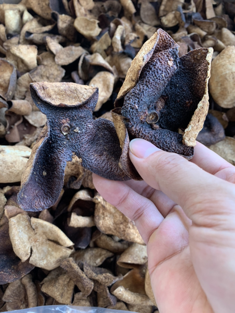 陈皮大量批发5年老陈皮新会陈皮陈皮干500g