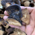 陈皮大量批发5年老陈皮新会陈皮陈皮干500g