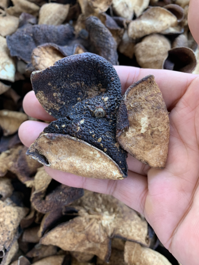 陈皮大量批发5年老陈皮新会陈皮陈皮干500g
