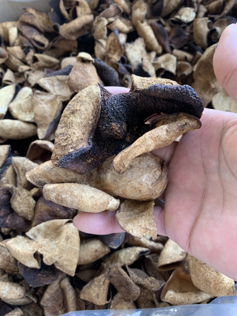 陈皮大量批发5年老陈皮新会陈皮陈皮干500g