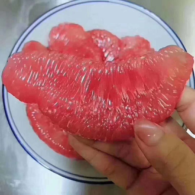 红心柚产地大量批发，皮薄，口感甜。诚信经营，质量为上。
