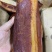 腊肉精品二刀腊肉电烤腊肉地摊展会热卖产品