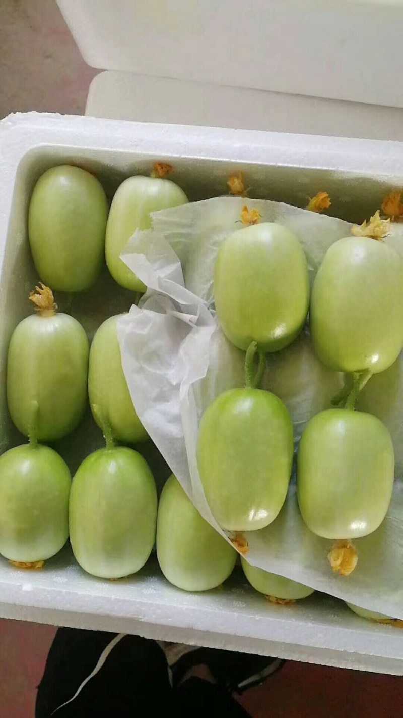 小黄瓜花，玉女瓜，精品货，产地批发