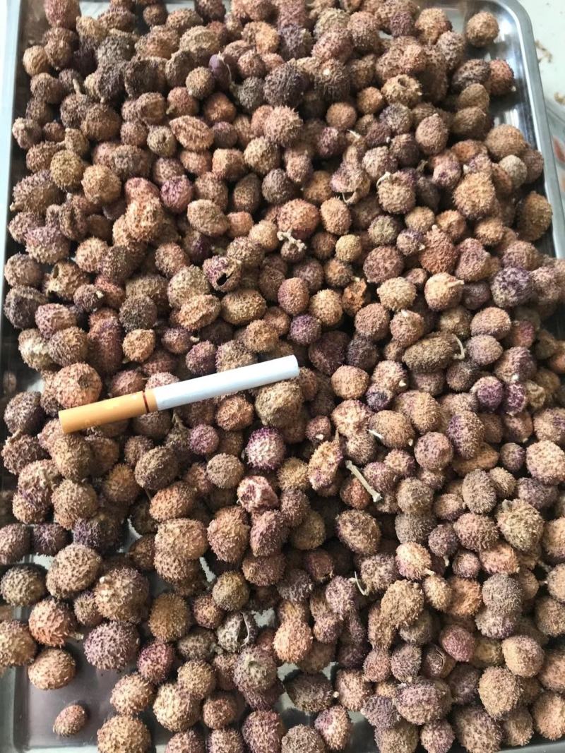 正宗阳春春砂仁过药检含量高
