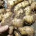 【精品】小黄姜，优质小黄姜。辣味足，货源充足，全国发货