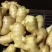 【精品】小黄姜，优质小黄姜。辣味足，货源充足，全国发货