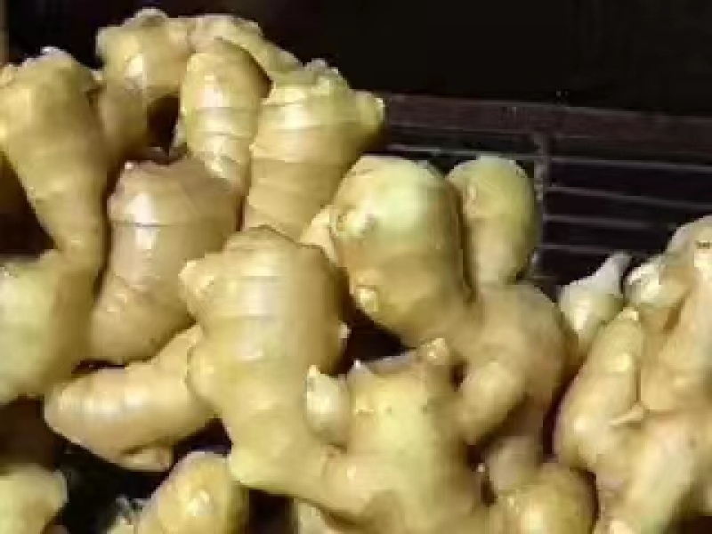 【精品】小黄姜，优质小黄姜。辣味足，货源充足，全国发货