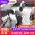 【推荐】高产母猪公猪厂家直销一条龙服务售后无忧