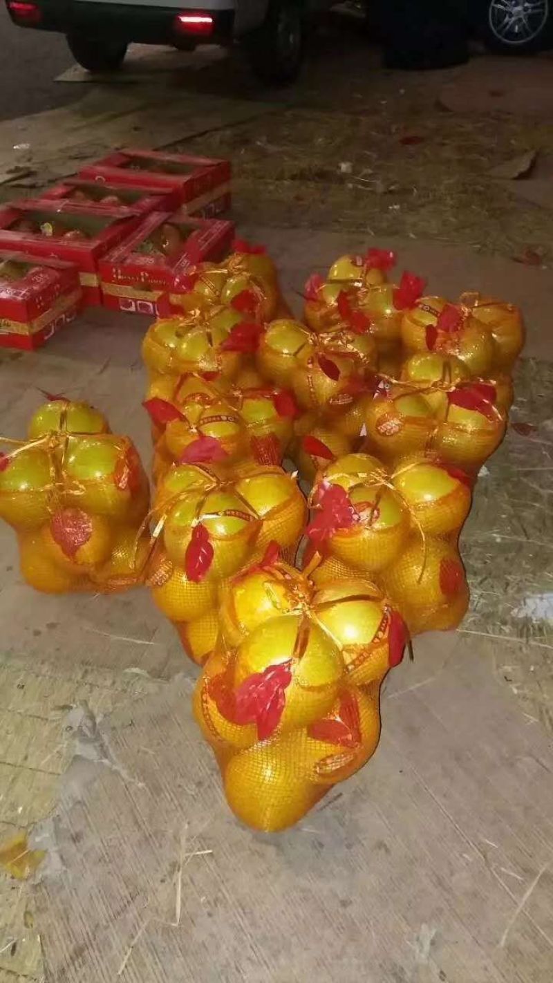 琯溪蜜柚产地大量批发，个头大，口感甜。产地直销，无中间商