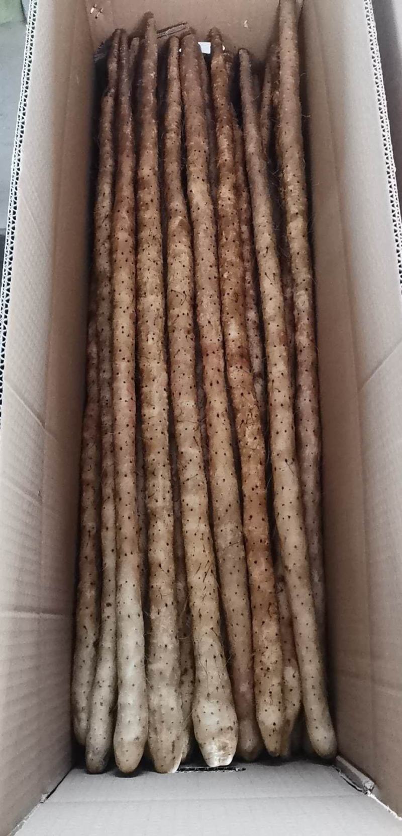 新山药紫药小白嘴箱货2—3厘米50—70厘米大量供应