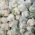 【精品】菜花产地直供大量上市货源充足