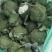 西兰花炎秀优秀寒秀精品货源大量上市中