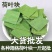 荷叶供应上千种中药材
