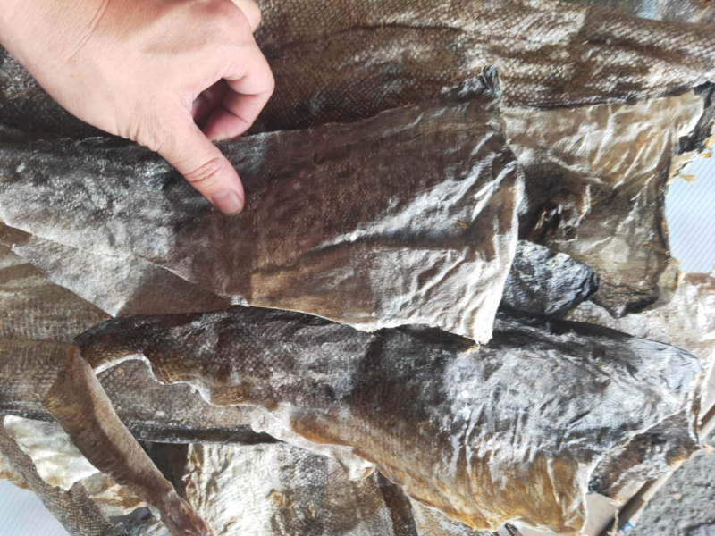 鱼皮深海鱼皮水产干货鱼皮